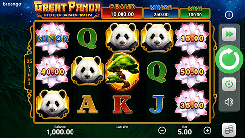 Playing Great Panda Hold and Win for Real Money